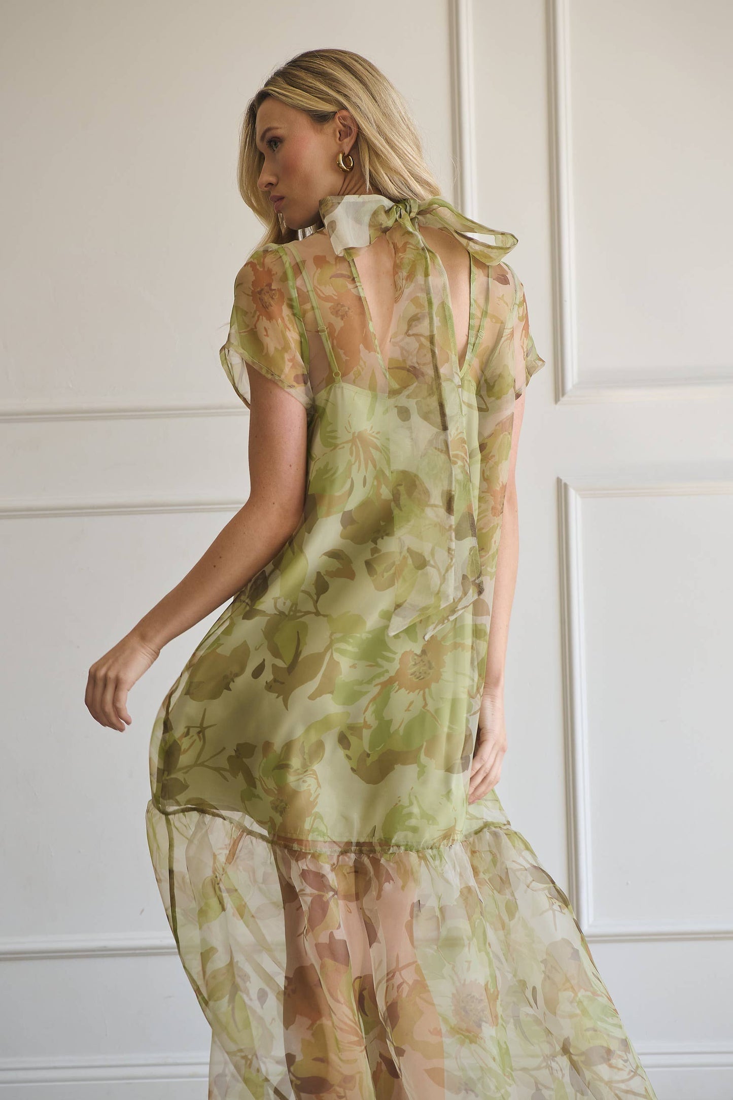 Ellery Organza Dress