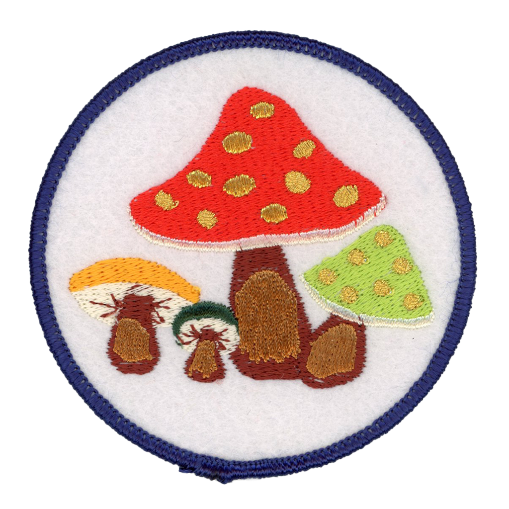 Mushroom Patch