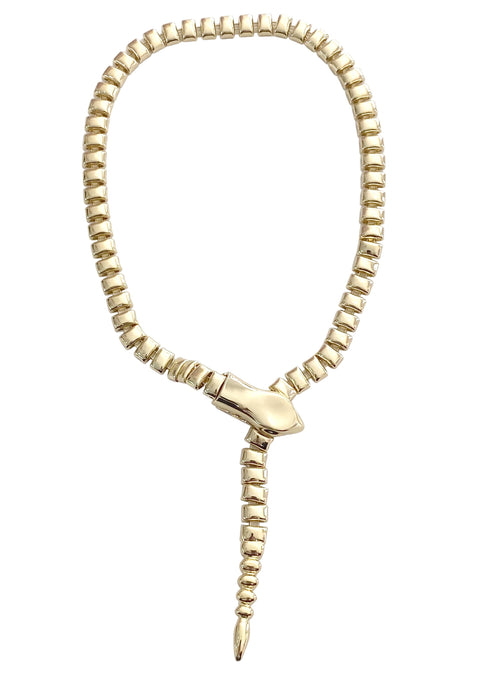 Snake Clasp Necklace
