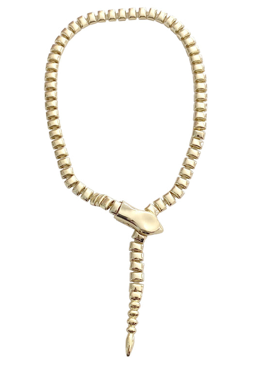 Snake Clasp Necklace